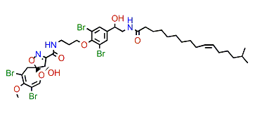 19-Hydroxypsammaplysin U